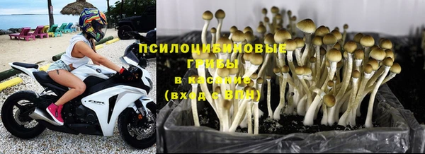 метадон Карпинск